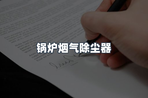 锅炉烟气除尘器